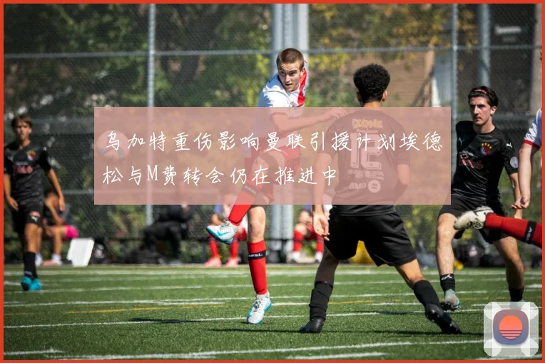 乌加特重伤影响曼联引援计划埃德松与M费转会仍在推进中